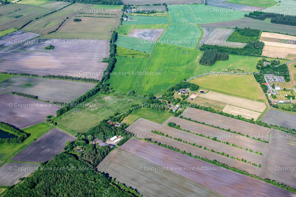 Ladelund_ELS_7695100623 | LADELUND 10.06.2023 Strukturen auf landwirtschaftlichen Feldern in Ladelund im Bundesland Schleswig-Holstein, Deutschland. // Structures on agricultural fields in Ladelund in the state Schleswig-Holstein, Germany. Foto: Martin Elsen