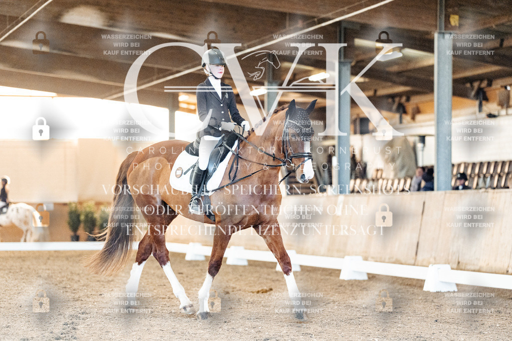 CK906682 | Turnierfotografie Pferdefotografie Trier Rheinland-Pfalz Pferdesport Reitsport Tierfotografie Sportfotografie Pferdevideo Pferdevideografie Equestrianvideography equestrianphotography  - Realisiert mit Pictrs.com