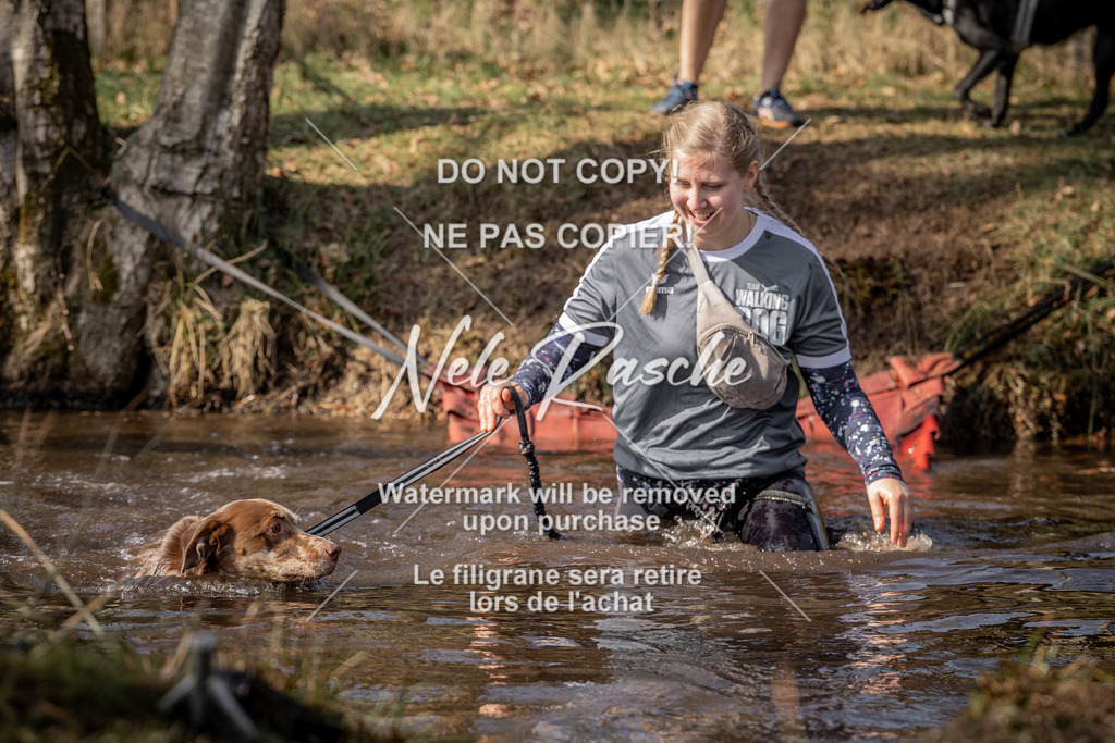 nelerasche_FS1330-1400_355 | nelerasche