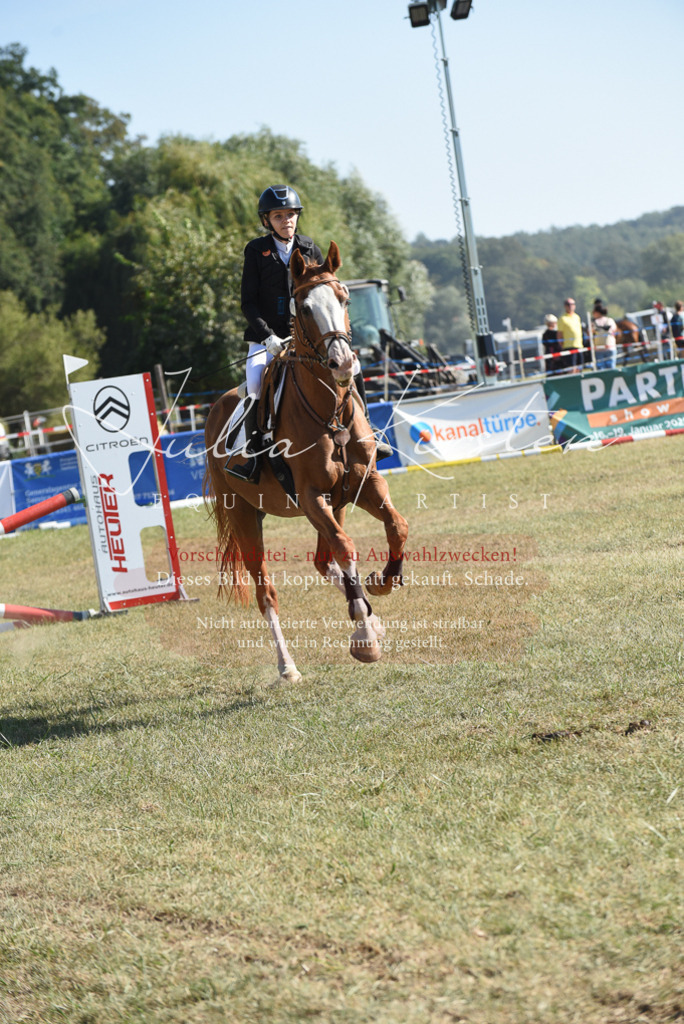 DSC_5962 | Pferde- und Turnierfotografie in Westsachsen. Pferdeportraits, Auftragszeichnungen und intuitive Kunst.
