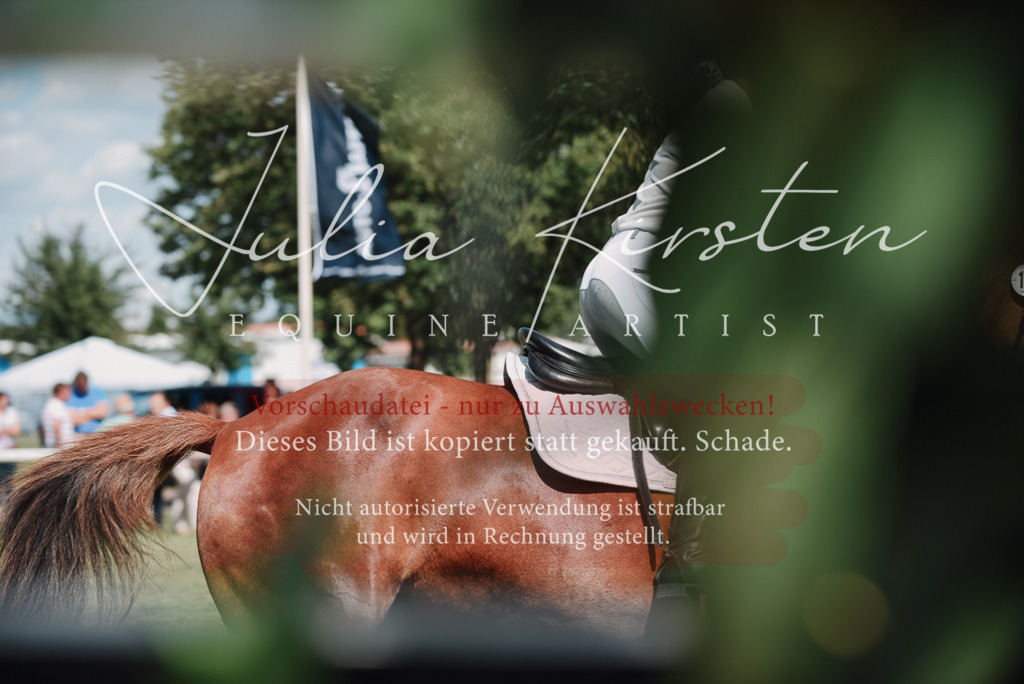 DSC_5758 | Pferde- und Turnierfotografie in Westsachsen. Pferdeportraits, Auftragszeichnungen und intuitive Kunst.