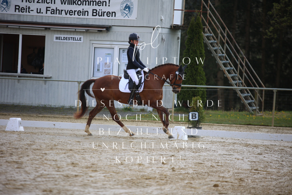 IMGT2268 | pl-fotografie