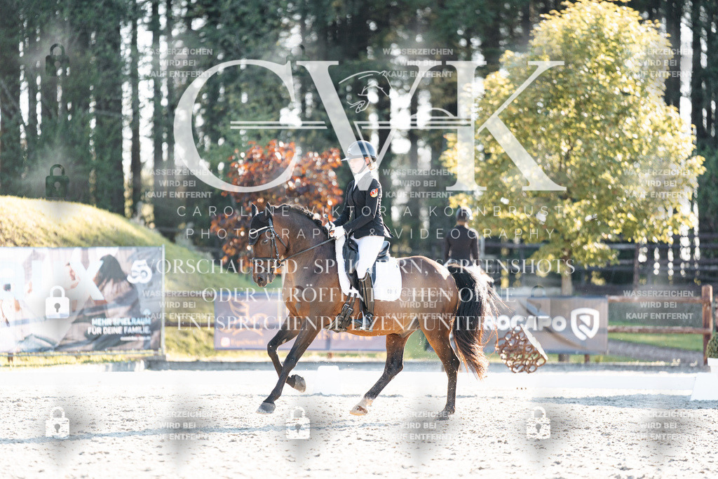 CK907106 | Turnierfotografie Pferdefotografie Trier Rheinland-Pfalz Pferdesport Reitsport Tierfotografie Sportfotografie Pferdevideo Pferdevideografie Equestrianvideography equestrianphotography  - Realisiert mit Pictrs.com