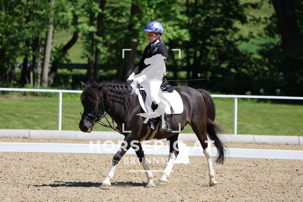 0P6A0505 | Willkommen bei Brunnmayr - Design & Fotografie – Ihrem Spezialisten für Reitturniere und Pferdeveranstaltungen in Oberösterreich, Salzburg und Bayern! Seit über 17 Jahren sind wir leidenschaftlich dabei.