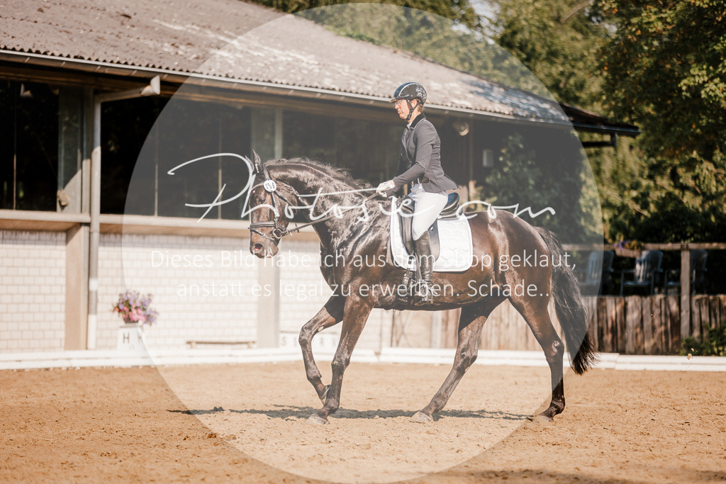 3I6A9161 | Stimmungsvolle Portraits und Reitsportfotografie im Ruhrgebiet und im Münsterland.

Pferdefotografie, Hundefotografie, Tierfotografie, Reportagen, Portraits von Tier und Mensch, Turnierfotografie in Bochum, Recklinghausen, Marl, Haltern am See, Dülmen.. - Realisiert mit Pictrs.com