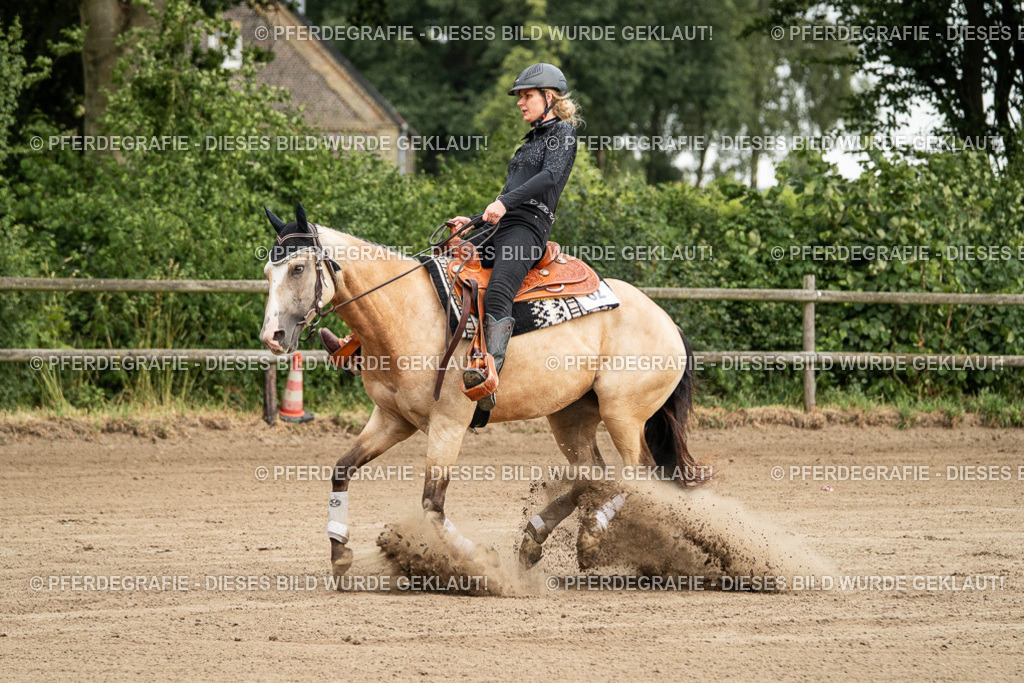 DSC04774 | Pferdegrafie