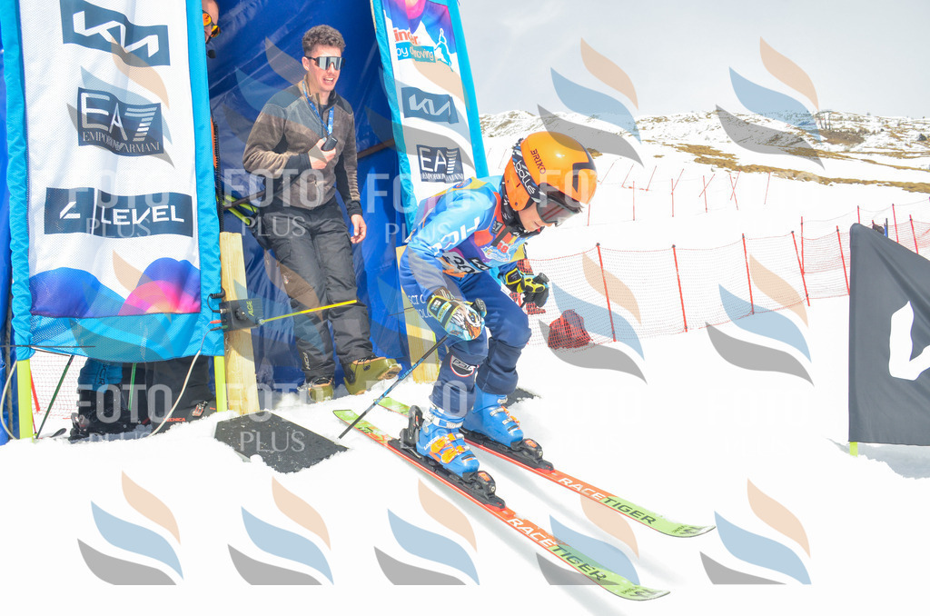 _ELE8373 | holidayphoto