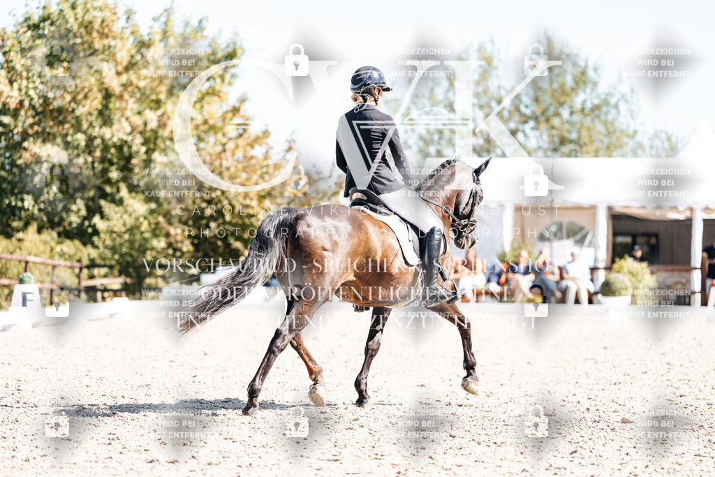 CK909456 | Turnierfotografie Pferdefotografie Trier Rheinland-Pfalz Pferdesport Reitsport Tierfotografie Sportfotografie Pferdevideo Pferdevideografie Equestrianvideography equestrianphotography  - Realisiert mit Pictrs.com