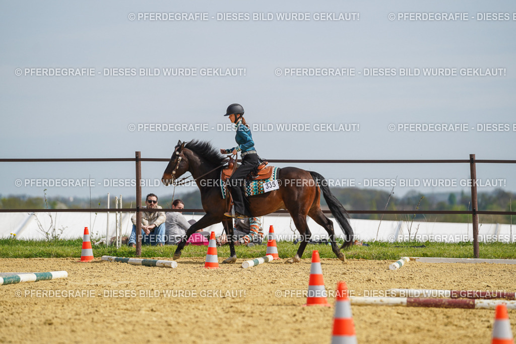 DSC04328 | Pferdegrafie