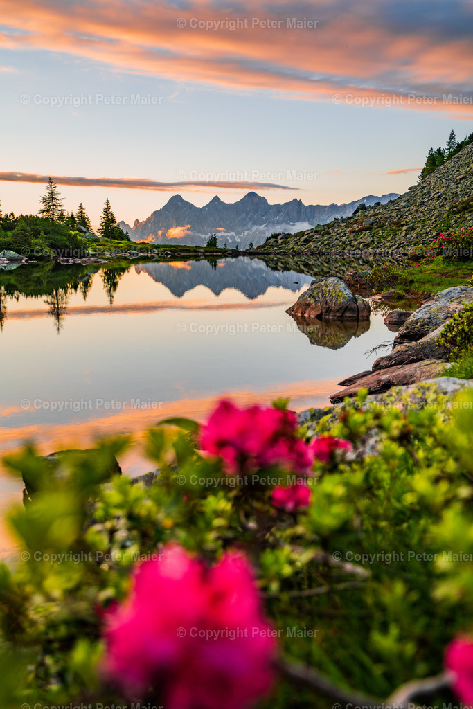 Landschaft Divers8 | piet_flosse