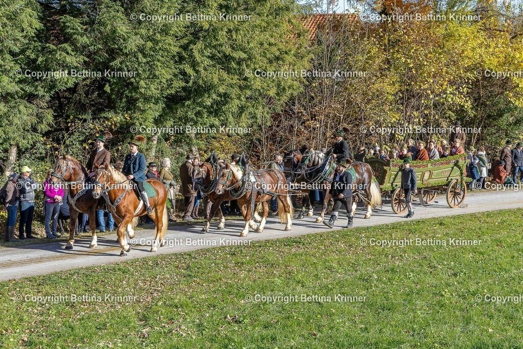 LBT25-781 | foto-bettina-krinner - Realisiert mit Pictrs.com