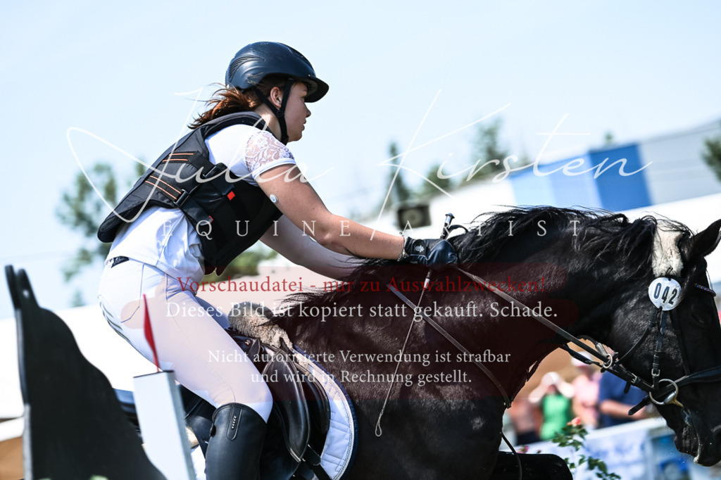 DSC_0419 | Pferde- und Turnierfotografie in Westsachsen. Pferdeportraits, Auftragszeichnungen und intuitive Kunst.