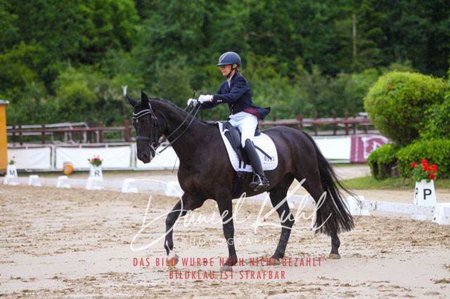 DKP46867 | Turniersportfotografie; Pferdefotografie; Dressurfotografie