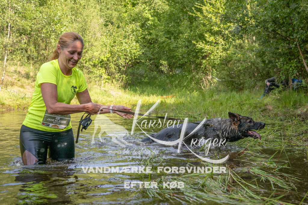 0953DKK9_ZZ93779 | kk-dogfotos