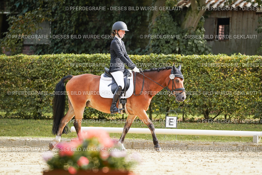 DSC04466 | Pferdegrafie