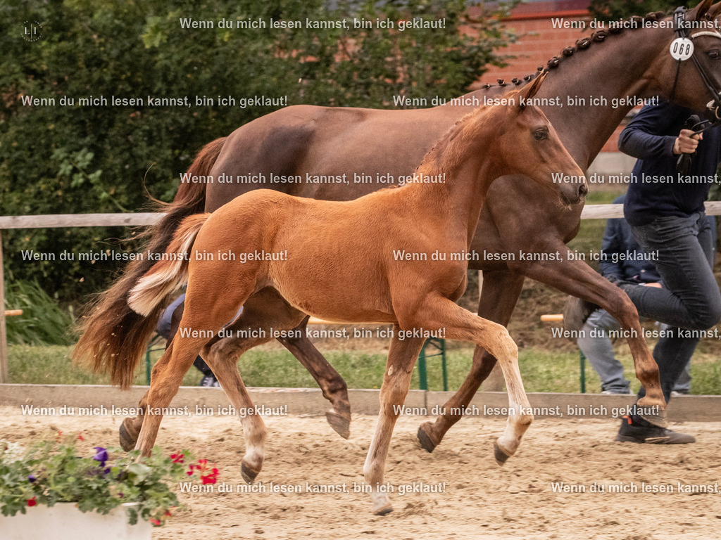 A10I6821 | photographylinaismer - Realisiert mit Pictrs.com