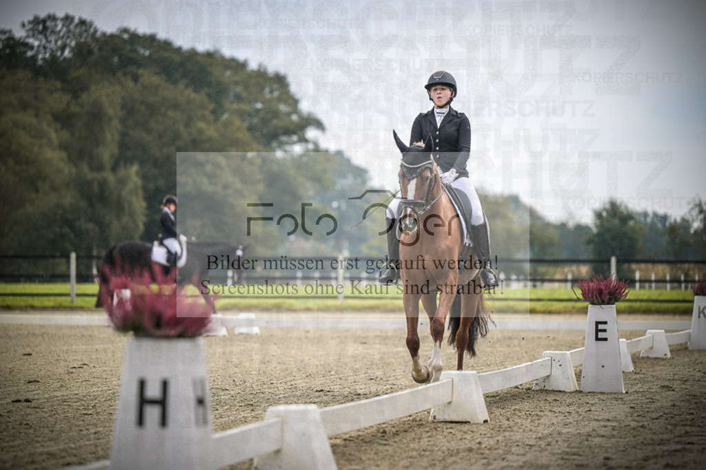 DOS_B385 | Entdecke hochwertige Reitturnierfotos von Foto Oger. Professionell, emotional und authentisch – jetzt Lieblingsmomente im Shop bestellen.Deutschlandweite Turnierfotografie. - Realisiert mit Pictrs.com
