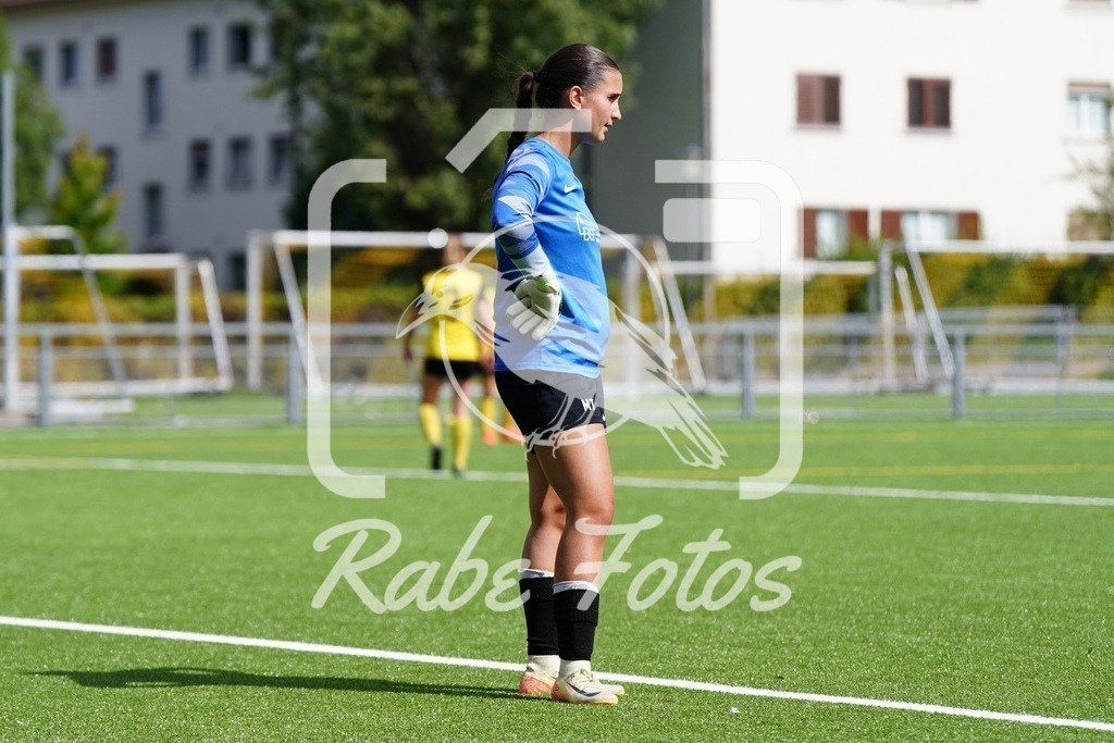 SON08541 | rabefotos