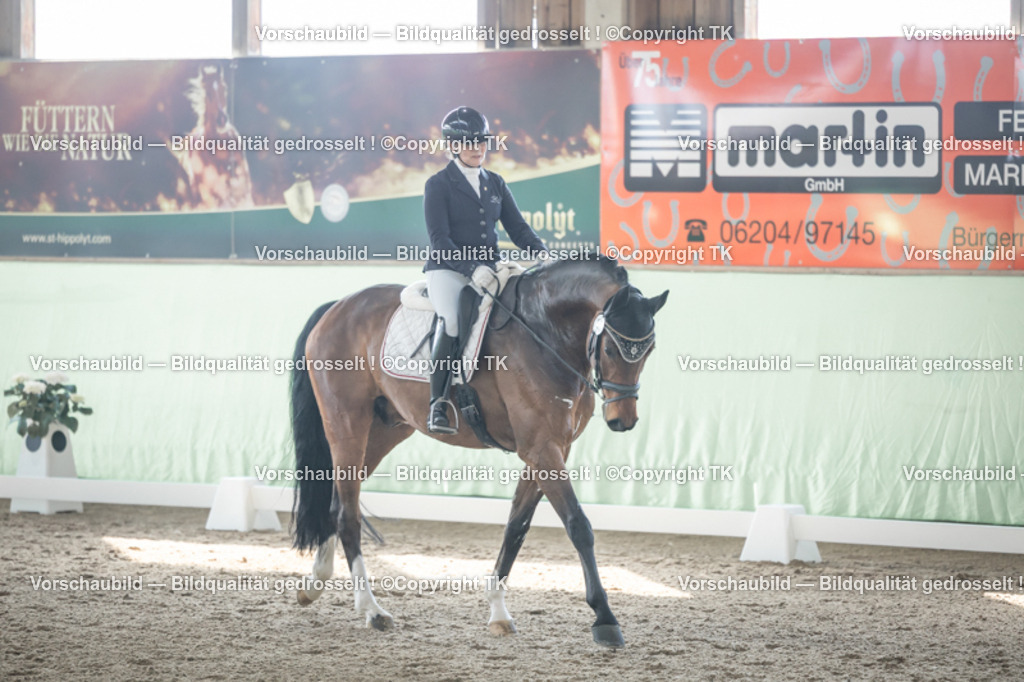 _D5A0809 | Emotionale Pferde- & People-Fotografie rund um Heidelberg, Leimen & Umgebung. Natürliche Fotos von Pferd, Mensch & Familie. Jetzt Termin sichern!