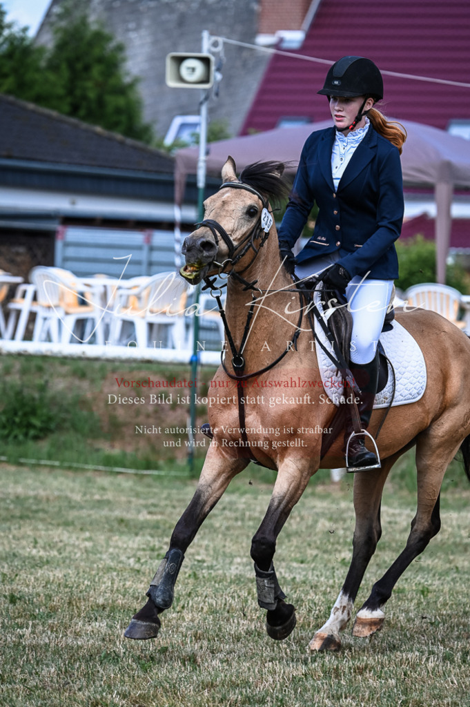 DSC_8040 | Pferde- und Turnierfotografie in Westsachsen. Pferdeportraits, Auftragszeichnungen und intuitive Kunst.