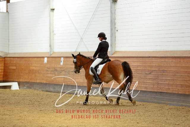 _62_7524 | Turniersportfotografie; Pferdefotografie; Dressurfotografie