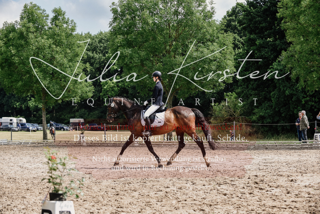 DSC_0826 | Pferde- und Turnierfotografie in Westsachsen. Pferdeportraits, Auftragszeichnungen und intuitive Kunst.