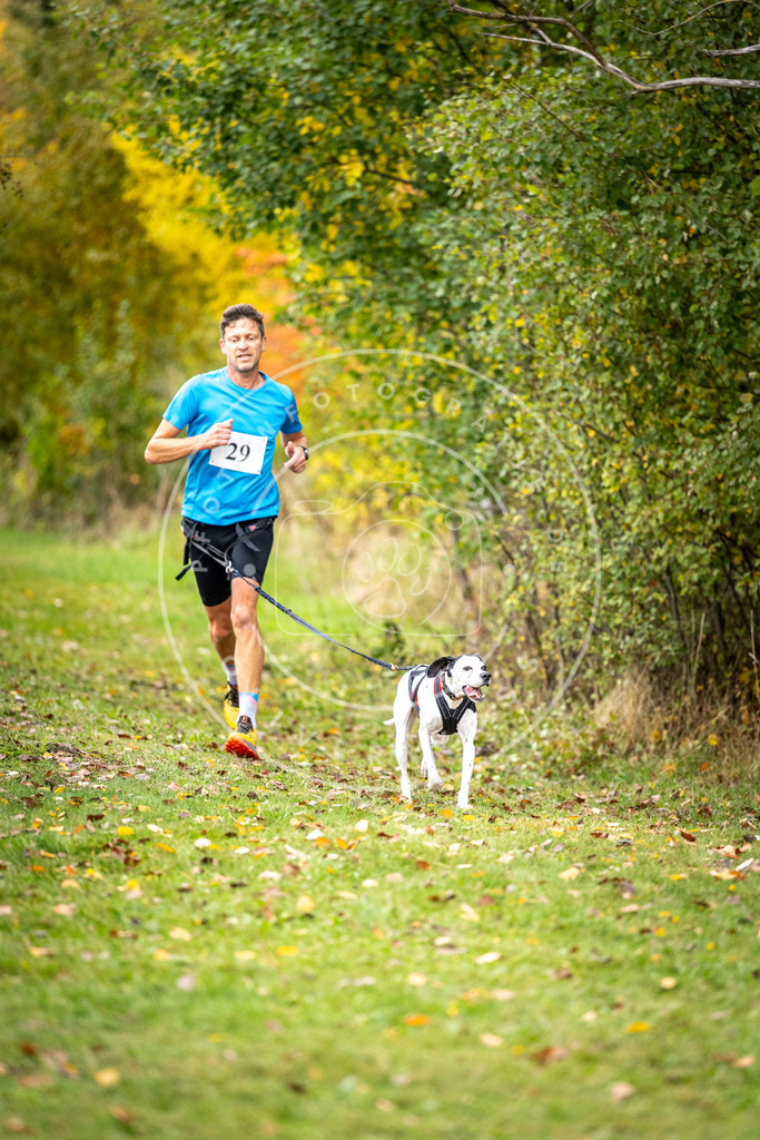 Pfotenfotografie_DV3A2082 | Hundefotografie, Tierfotograf, Pfotenfotografie, Fotoshooting Hund, Hunde Portrait, Hundesport, Hundeportraits, Heideshooting, Hunde, Sportfotograf, Hundefotograf, Turnierhundsport, THS,  - Realisiert mit Pictrs.com