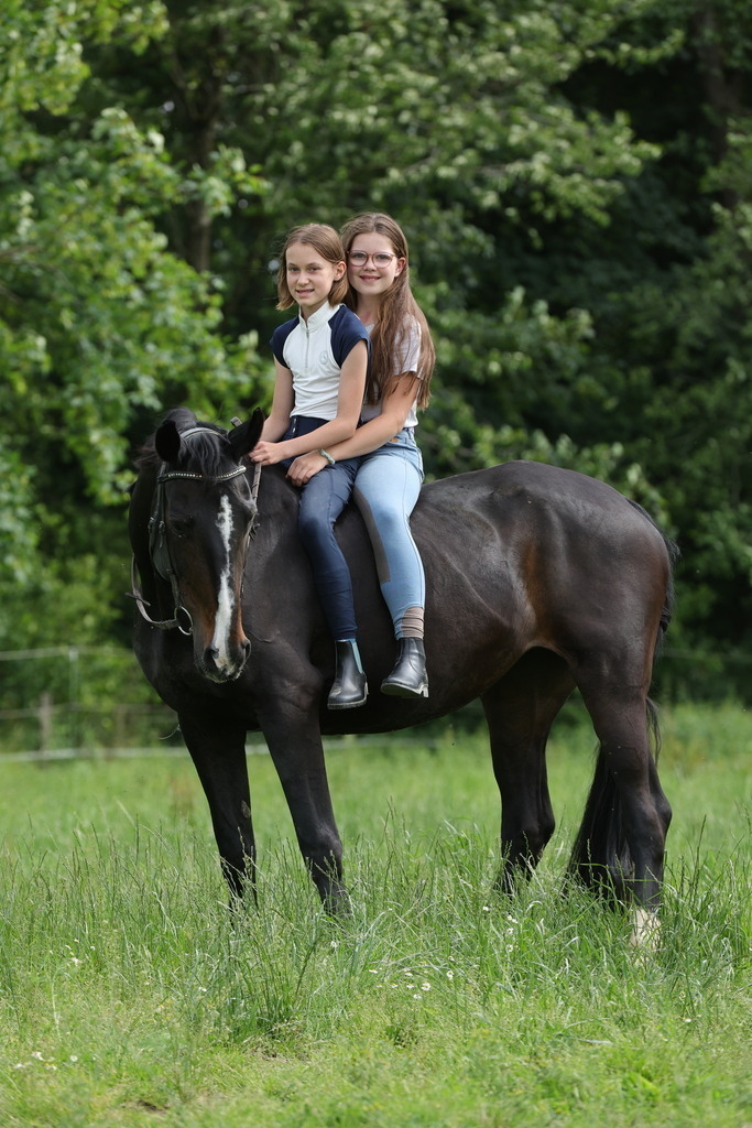 0P6A2301 | Willkommen bei Brunnmayr - Design & Fotografie – Ihrem Spezialisten für Reitturniere und Pferdeveranstaltungen in Oberösterreich, Salzburg und Bayern! Seit über 17 Jahren sind wir leidenschaftlich dabei.