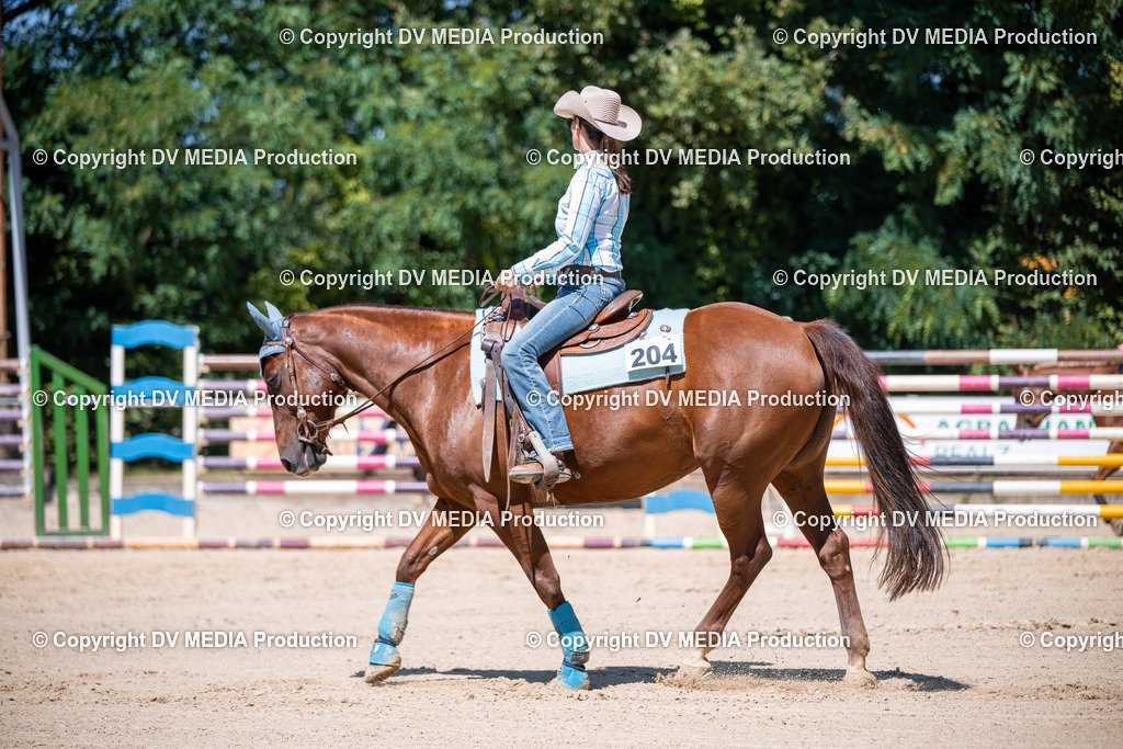 ZS1_1176 | dv-media-shop - Realisiert mit Pictrs.com