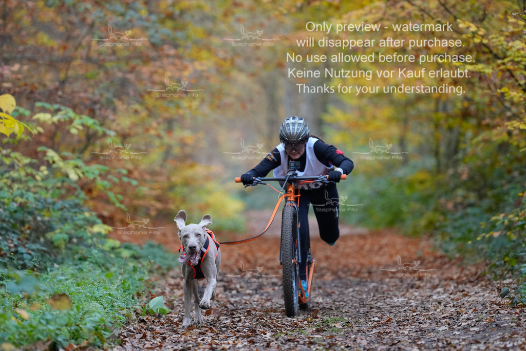 Scooter_So-24 | stephaniefillaphotographie - Realisiert mit Pictrs.com