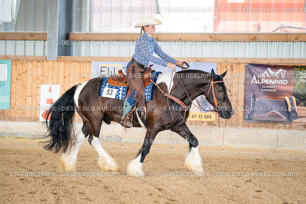 DSC02315 | Pferdegrafie