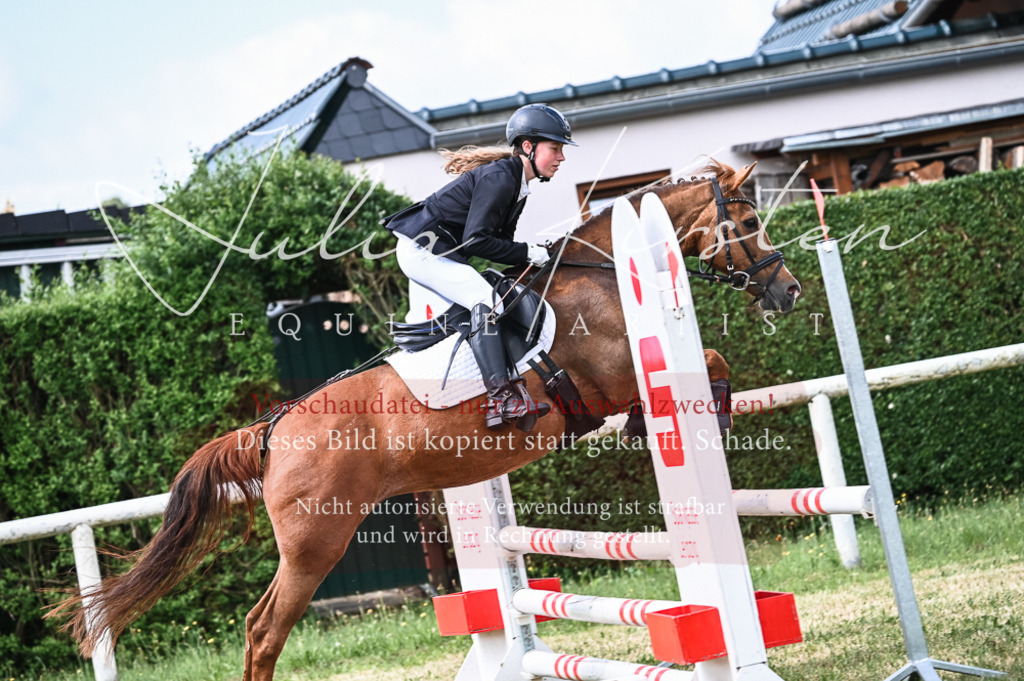 DSC_8588 | Pferde- und Turnierfotografie in Westsachsen. Pferdeportraits, Auftragszeichnungen und intuitive Kunst.