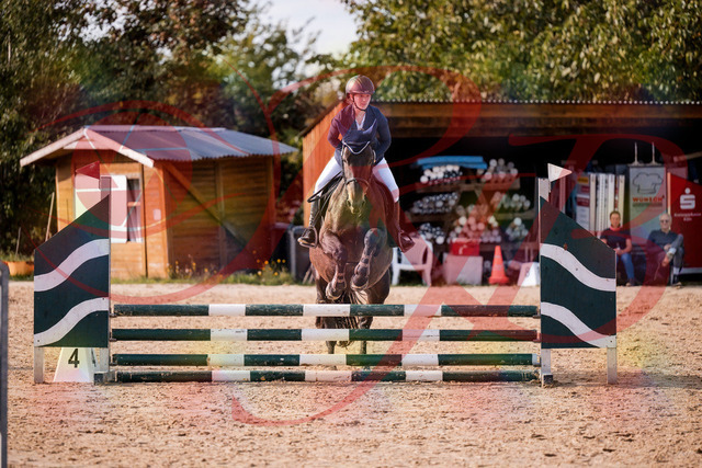 2026_10_03_Siefer-Hof_160119_Z81_82042270 | Professionelle Reitsport-, Turnier- und Eventfotografie von Robert Broda. Galerien mit ausgewählten und bearbeiteten Bildern direkt online ansehen und bestellen.