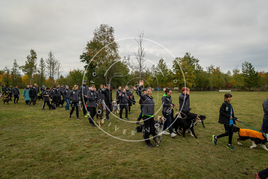 Pfotenfotografie_0L8A0224 | Hundefotografie, Tierfotograf, Pfotenfotografie, Fotoshooting Hund, Hunde Portrait, Hundesport, Hundeportraits, Heideshooting, Hunde, Sportfotograf, Hundefotograf, Turnierhundsport, THS,  - Realisiert mit Pictrs.com
