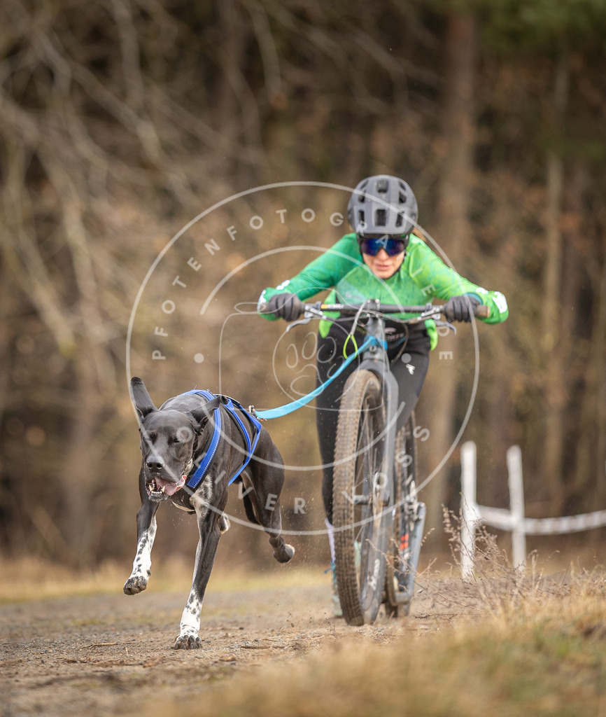 DV3A3401 | Hundefotografie, Tierfotograf, Pfotenfotografie, Fotoshooting Hund, Hunde Portrait, Hundesport, Hundeportraits, Heideshooting, Hunde, Sportfotograf, Hundefotograf, Turnierhundsport, THS,  - Realisiert mit Pictrs.com