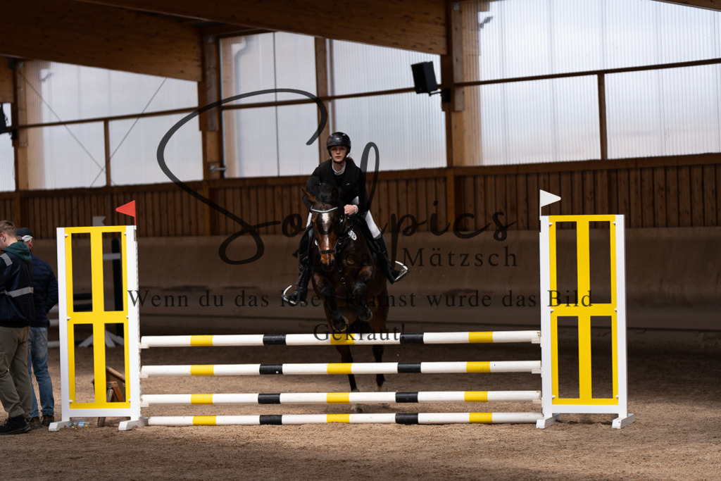 A7507373 | Pferdefotograf