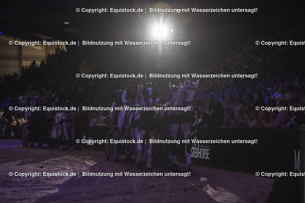 20241116_Fahren-Masterhorse_TOMsPiC_0411 | Foto: Thomas Hartig