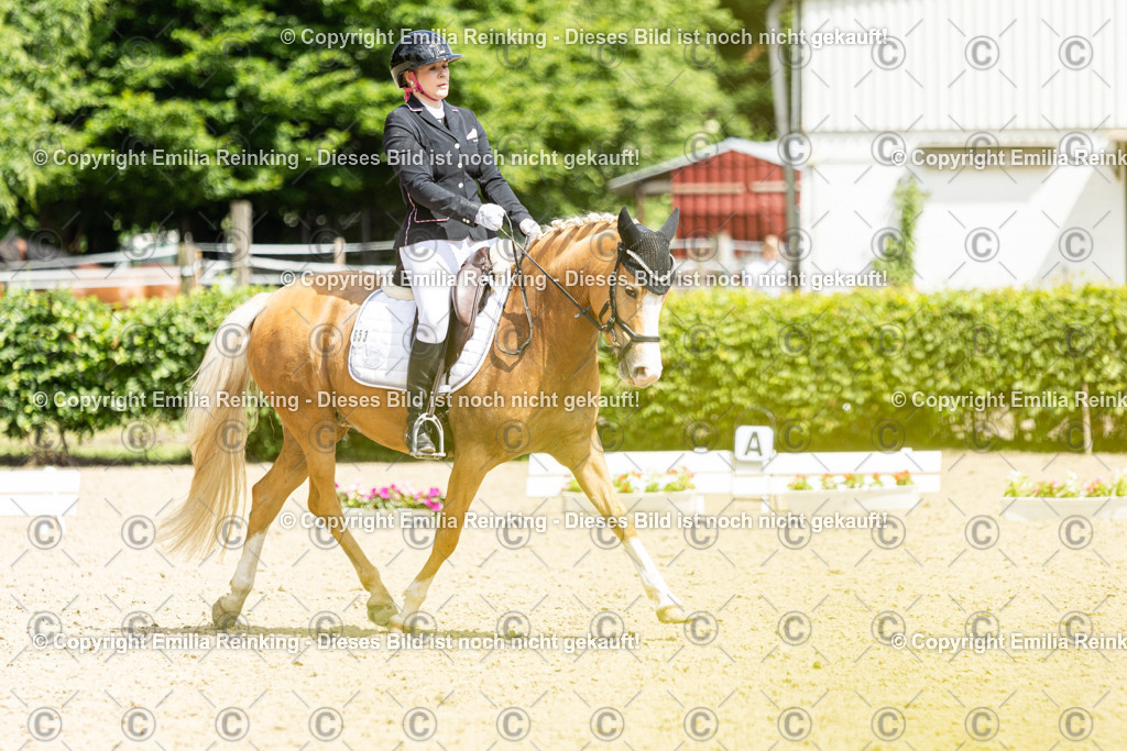 CL5A2983 | Emilia Reinking Fotografie - Realisiert mit Pictrs.com