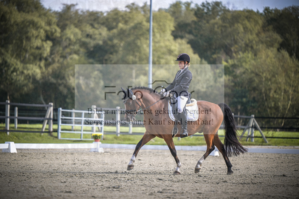DOS_B741 | Entdecke hochwertige Reitturnierfotos von Foto Oger. Professionell, emotional und authentisch – jetzt Lieblingsmomente im Shop bestellen.Deutschlandweite Turnierfotografie. - Realisiert mit Pictrs.com