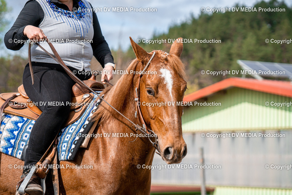 BAL02657 | dv-media-shop - Realisiert mit Pictrs.com