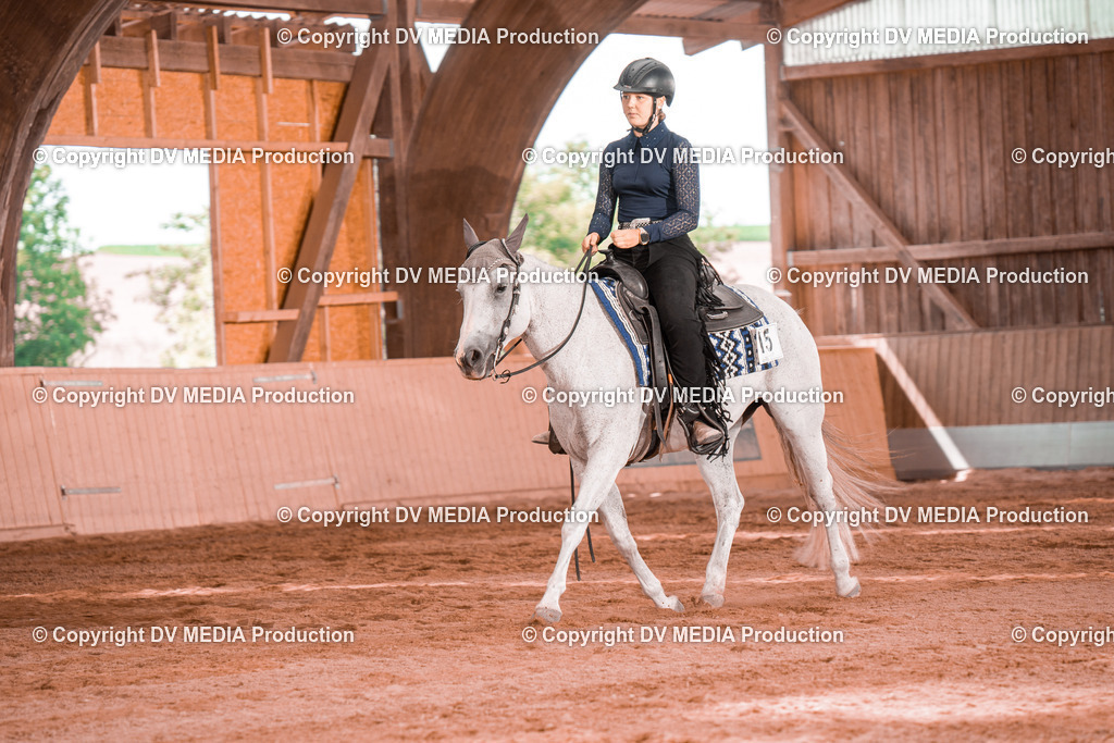 NE200391 | dv-media-shop - Realisiert mit Pictrs.com