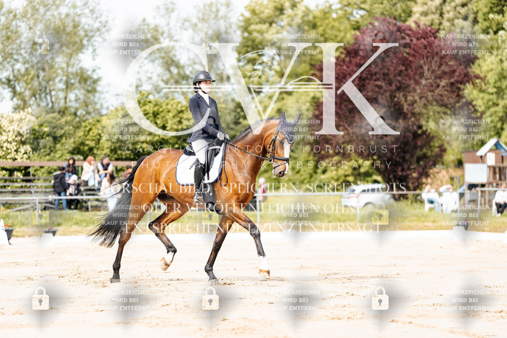 CK900683 | Turnierfotografie Pferdefotografie Trier Rheinland-Pfalz Pferdesport Reitsport Tierfotografie Sportfotografie Pferdevideo Pferdevideografie Equestrianvideography equestrianphotography  - Realisiert mit Pictrs.com