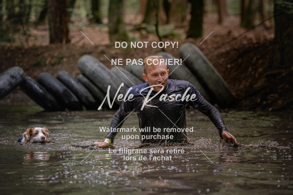 nelerasche_SaWingst1400-1500_241 | nelerasche