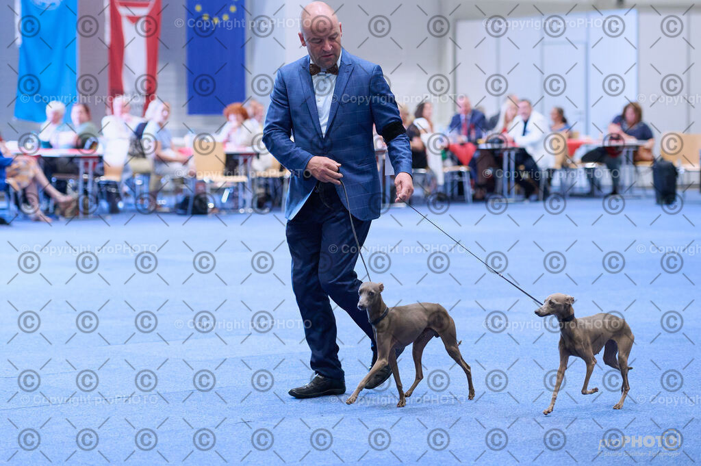 202406_ÖKV-IHA-Tulln24_DSC_3736 | proPHOTO - Realisiert mit Pictrs.com