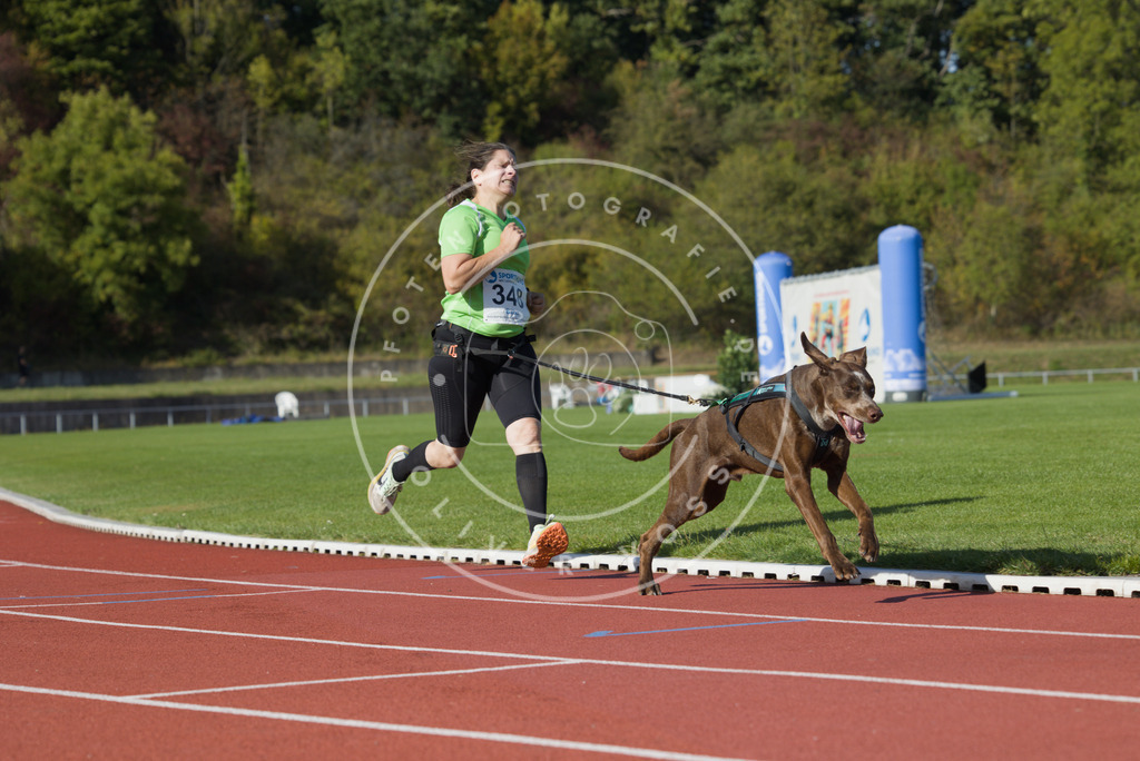 0L8A9340 | Hundefotografie, Tierfotograf, Pfotenfotografie, Fotoshooting Hund, Hunde Portrait, Hundesport, Hundeportraits, Heideshooting, Hunde, Sportfotograf, Hundefotograf, Turnierhundsport, THS,  - Realisiert mit Pictrs.com