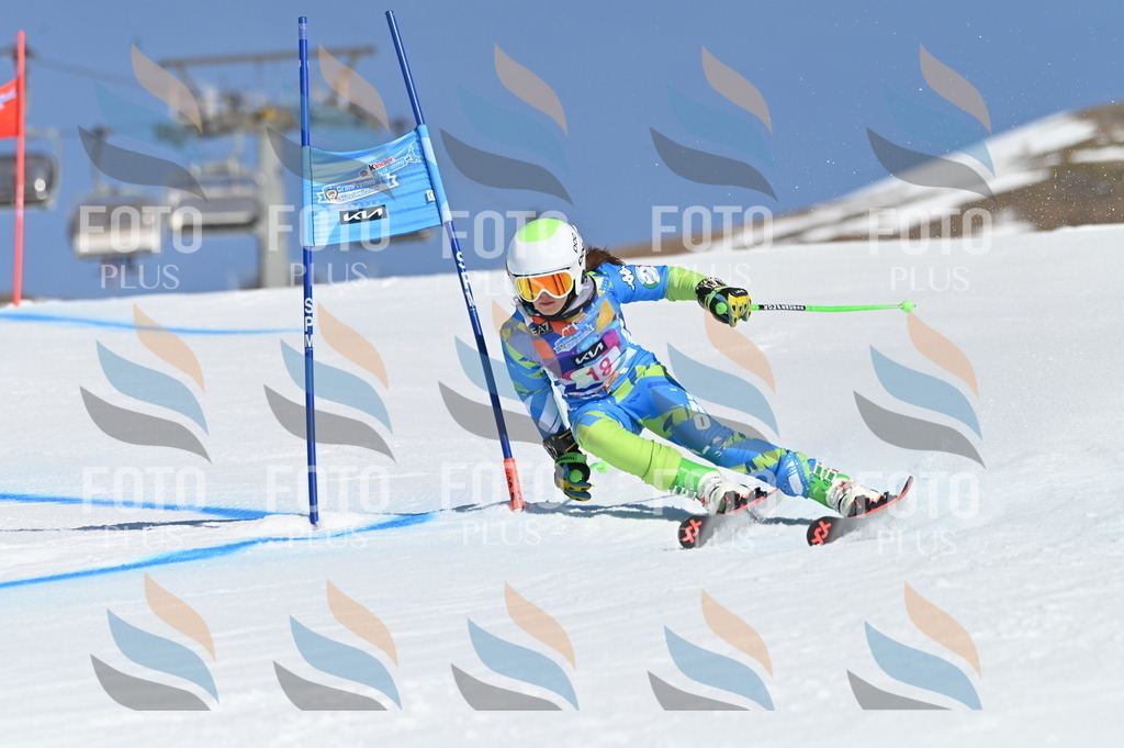 BGV_7916 | holidayphoto