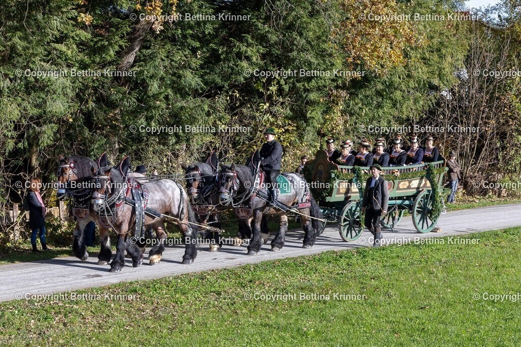 LBT24-625 | foto-bettina-krinner - Realisiert mit Pictrs.com