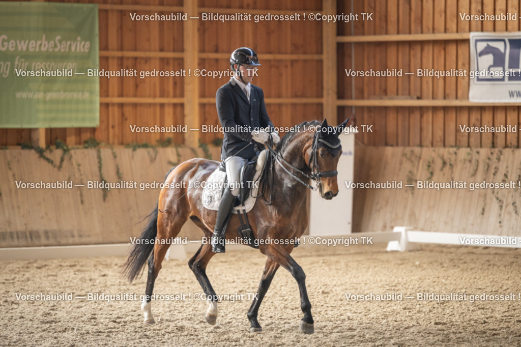 _D5A6224 | Emotionale Pferde- & People-Fotografie rund um Heidelberg, Leimen & Umgebung. Natürliche Fotos von Pferd, Mensch & Familie. Jetzt Termin sichern!