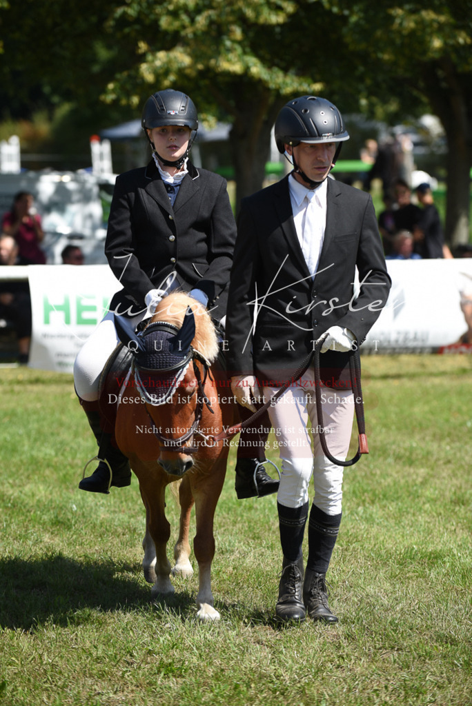 DSC_9669 | Pferde- und Turnierfotografie in Westsachsen. Pferdeportraits, Auftragszeichnungen und intuitive Kunst.