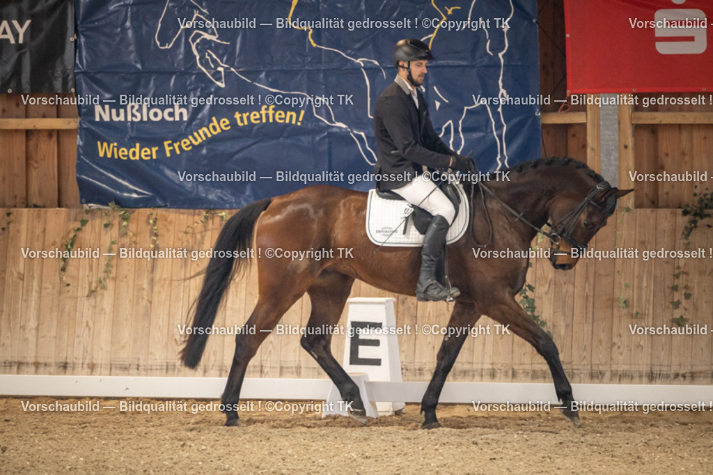 _D5A8498 | Emotionale Pferde- & People-Fotografie rund um Heidelberg, Leimen & Umgebung. Natürliche Fotos von Pferd, Mensch & Familie. Jetzt Termin sichern!